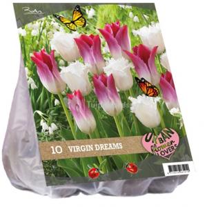 Baltus Urban Flowers Virgin dreams bloembollen per 10 stuks